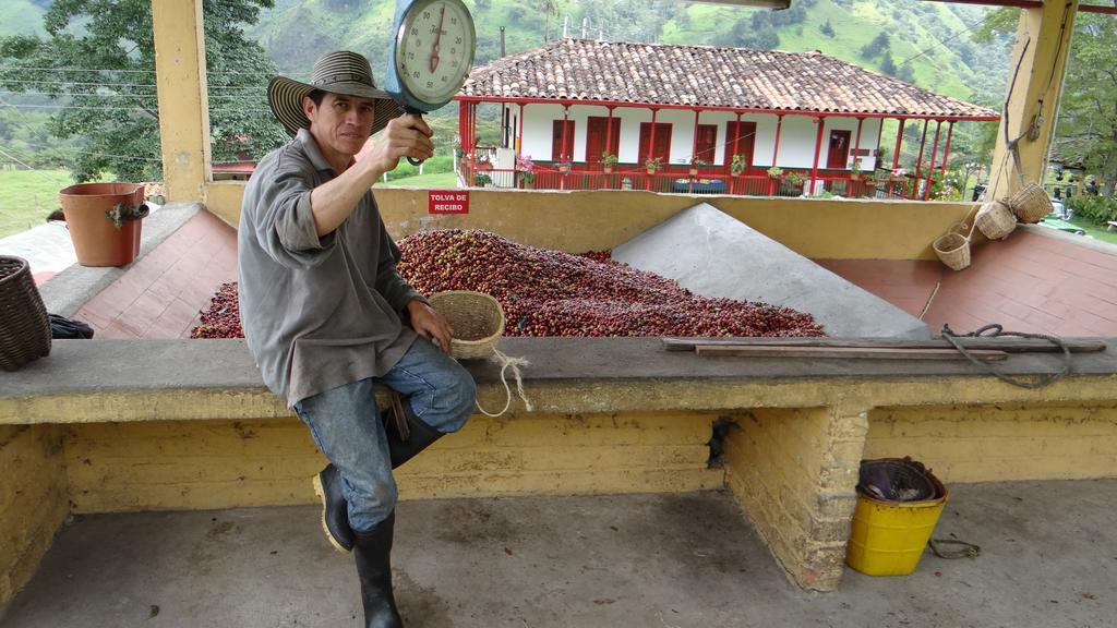 Finca El Ocaso Salento Hotel Ngoại thất bức ảnh