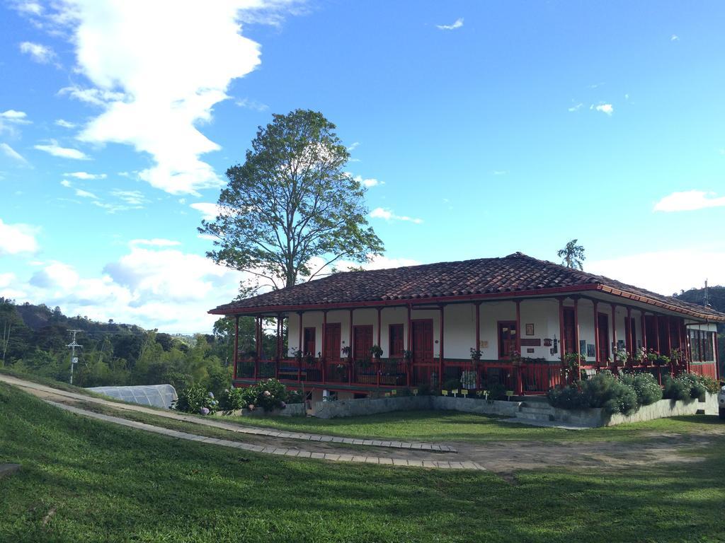 Finca El Ocaso Salento Hotel Ngoại thất bức ảnh